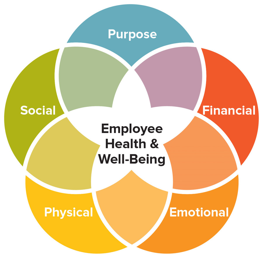 Infographic that highlight the pillars of employee health.