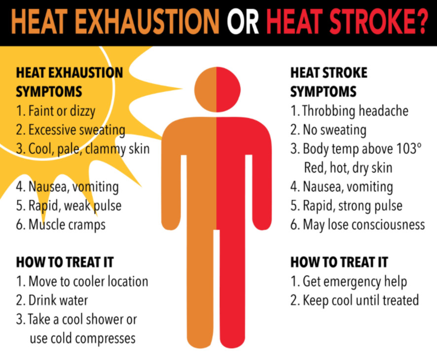 Infographic that showcases the warning signs of heat stress.