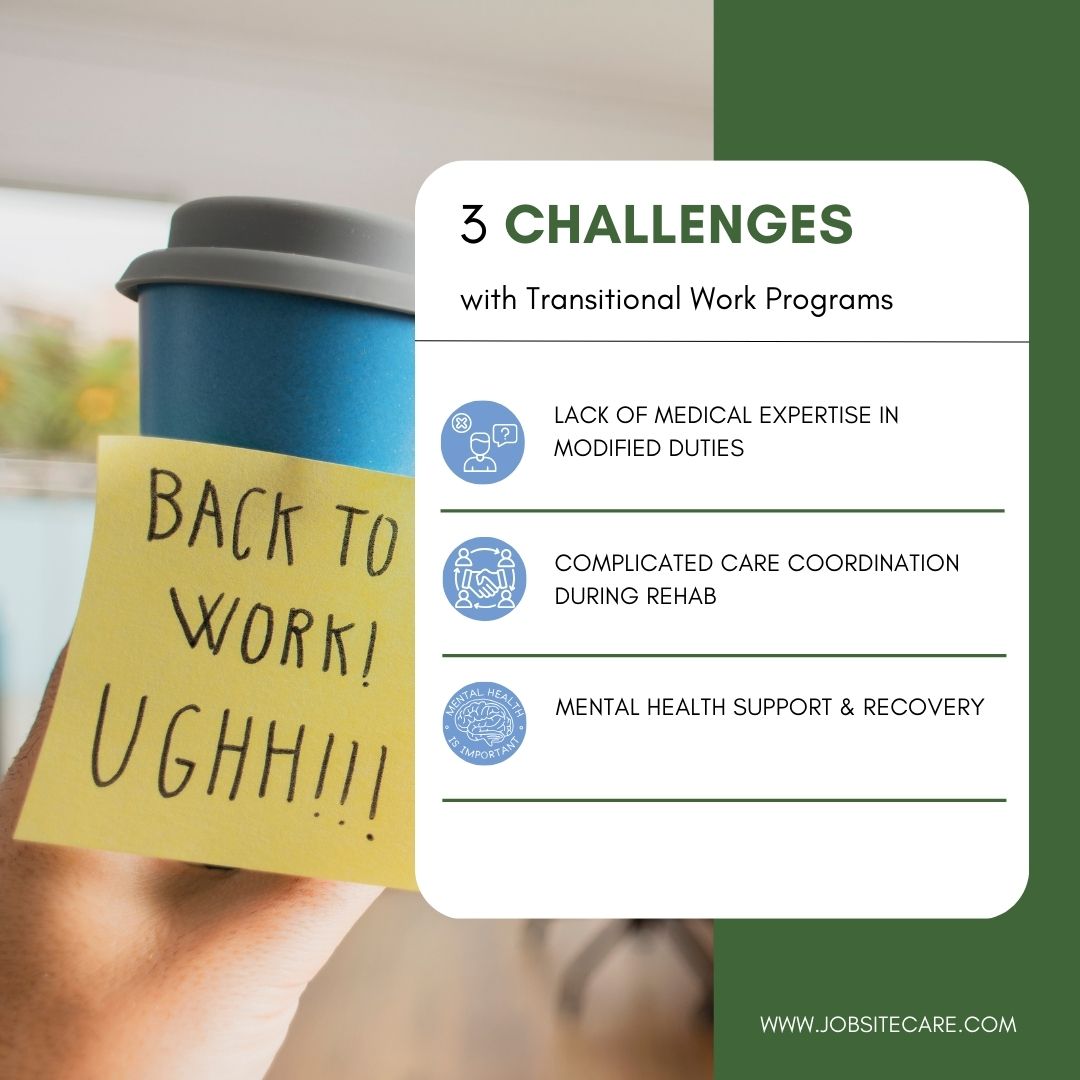 Inforgraphic highlighting the 3 Challenges with Transitional Work Programs