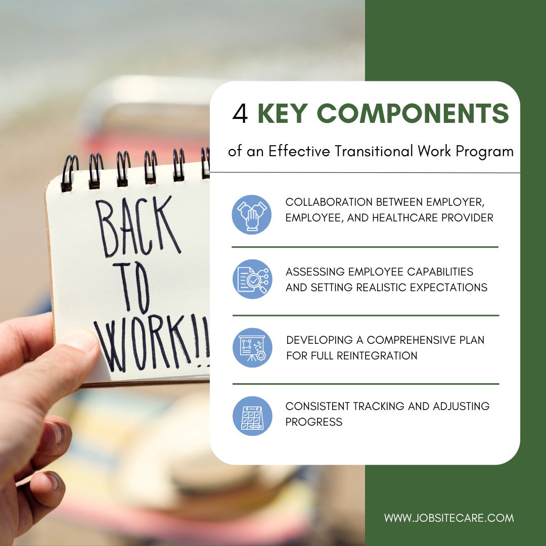 Inforgraphic illustrating the four Key Components of an Effective Transitional Work Program